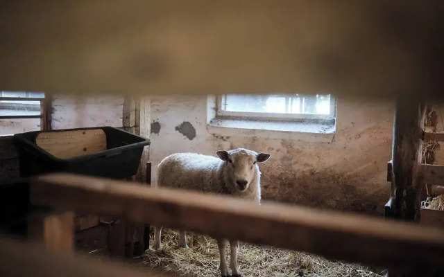 Askegaarden Apartments