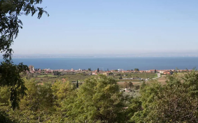 Agriturismo il Grappolo