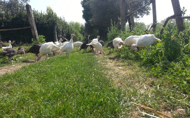 BioAgriturismo Santa Felicita