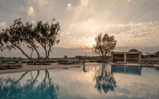 Phaos Cellaria Estate