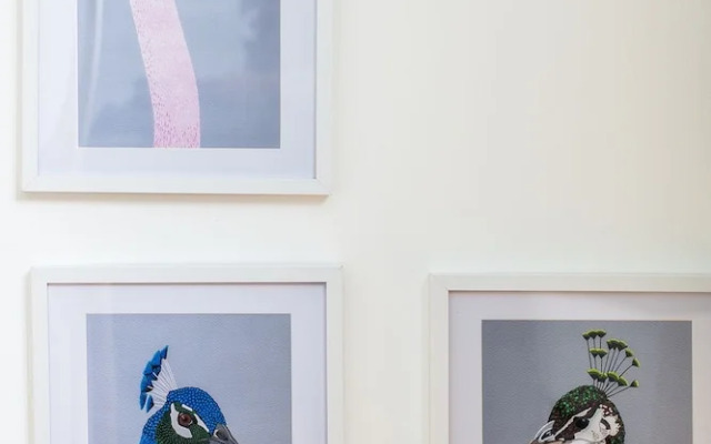 Your Apartment The Little Birdie