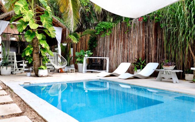 Residencia Gorila