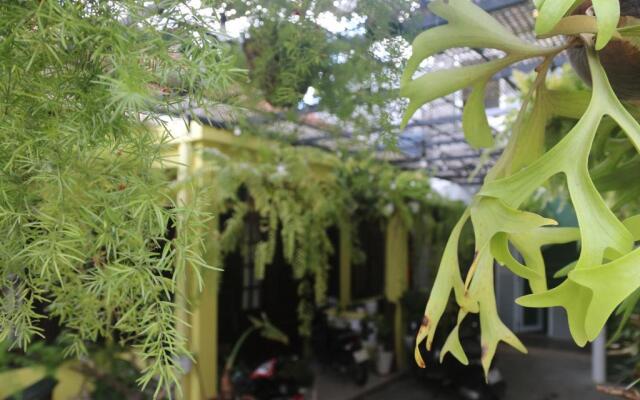 Dốc Garden Homestay - Apartment & Coffee