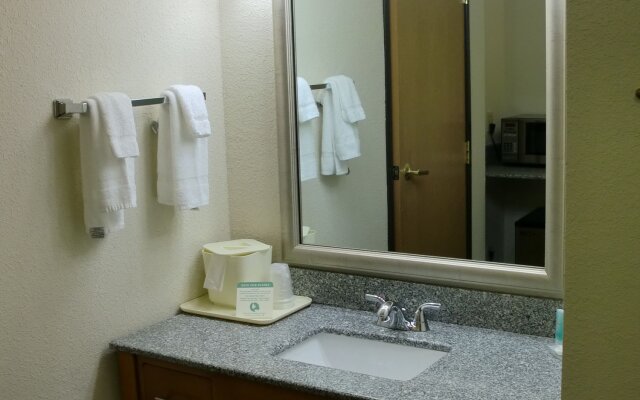 Comfort Inn Birch Run - Frankenmuth