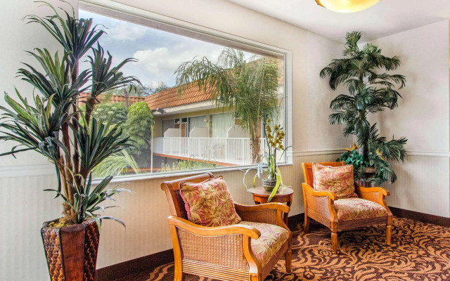Rodeway Inn Central Clearwater Beach