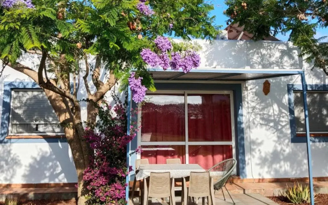 Casas Lionel