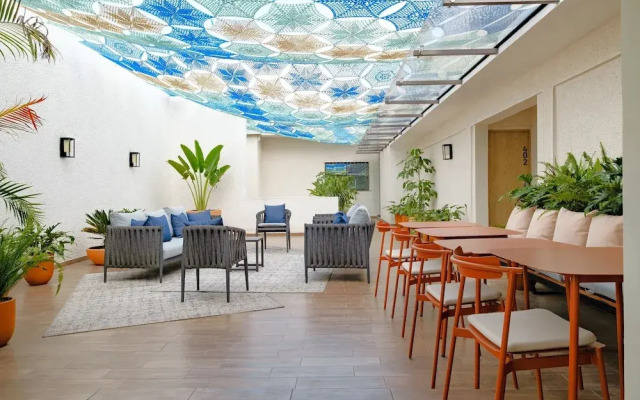 District Polanco by Lumina