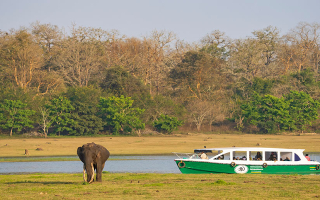 Kabini River Lodge by Jungle Lodges