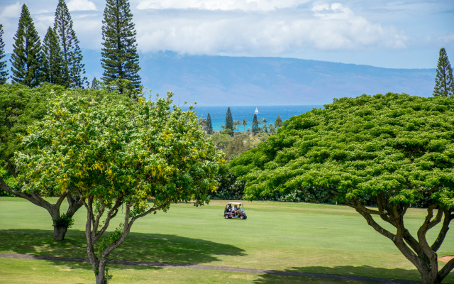Kapalua Villas Maui