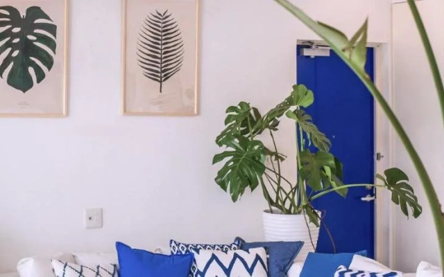 Windy Earth SILENT CLUB