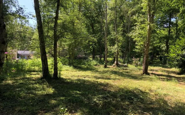 The Caduceus - Residence