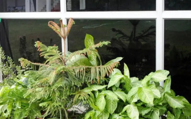 Mangalam Palace By OYO Rooms