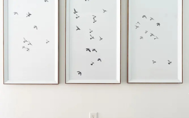 Sonder - Sawyer Lofts