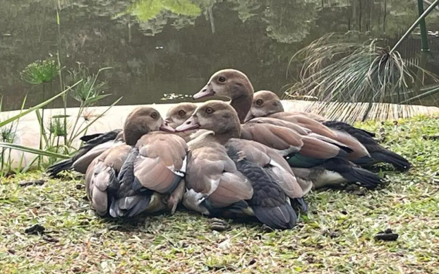 Studio 3 Churchill Lane Self catering accommodation