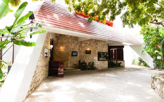 Mision Palenque