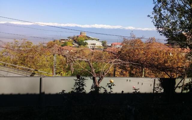 Apartment Giorgi in Sighnaghi