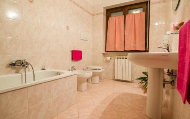 Alla scoperta delle Marche