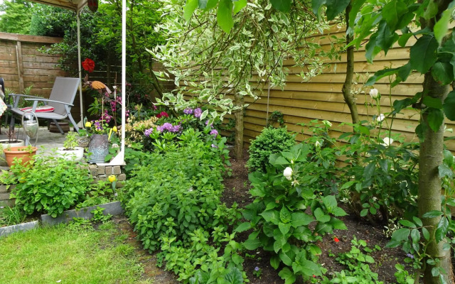 Xaviera's Bed and Breakfast