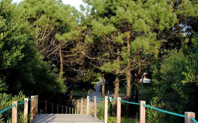 Orbitur Viana Do Castelo Bungalows - Caravan Park