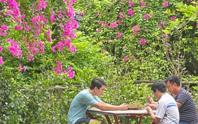Maison Teahouse Homestay