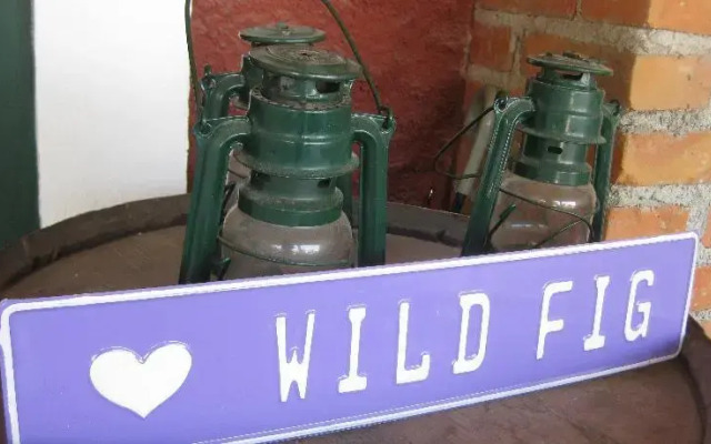 The Wild Fig Hostel