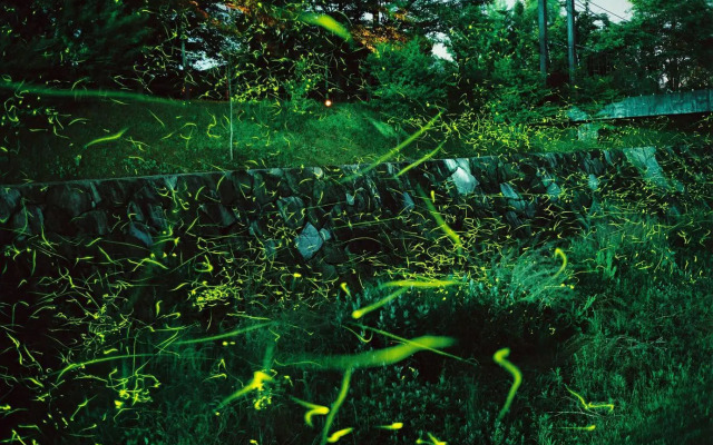 Yunosato Onsen Fukumasu-tei