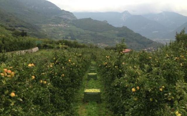 Agritur Le Pergole