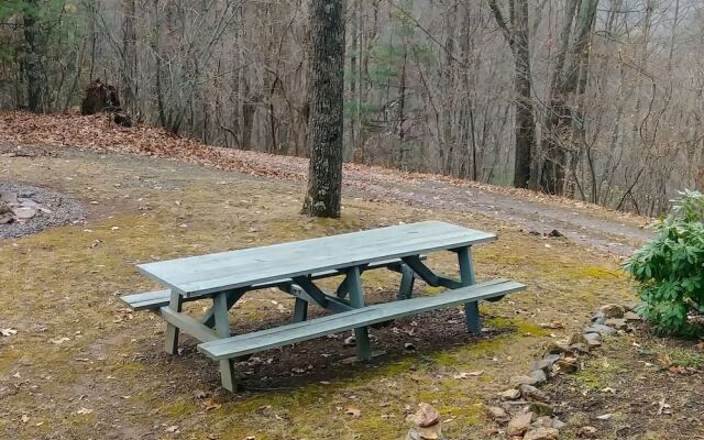 Wild Cat - 1 Br Cabin