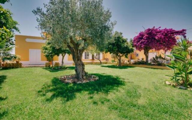 Quinta Almargem Lusitano - Farm House