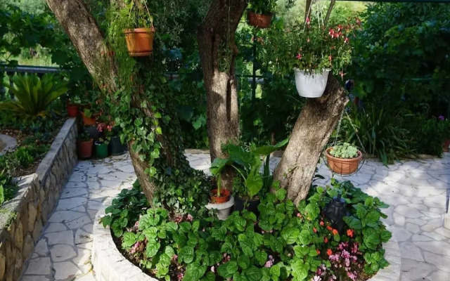 Tatjana - 300 m From Beach - A1