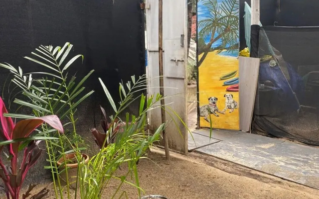 Tropical Bay