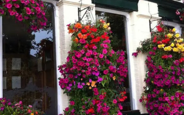 The King Alfred Pub