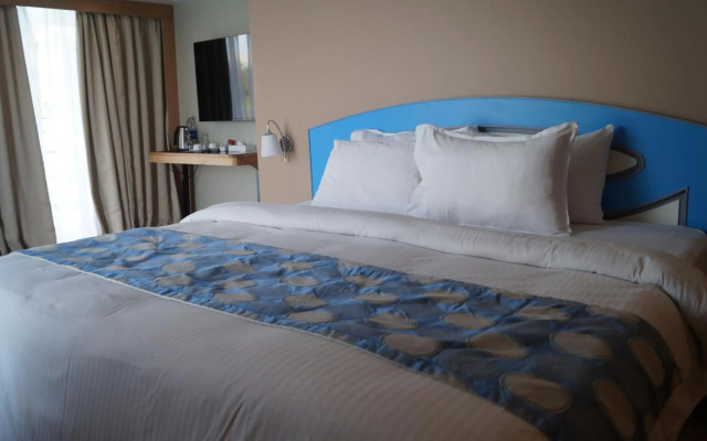 C Hotel