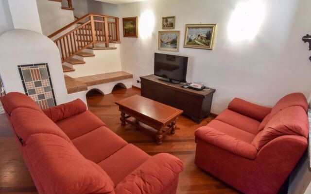 Cesa Galaldriel 29973