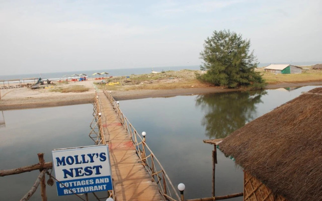 Molly's Nest