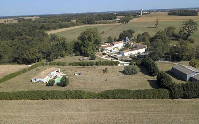 Les roses trémières