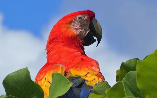 The Sunset Tucano Lodge