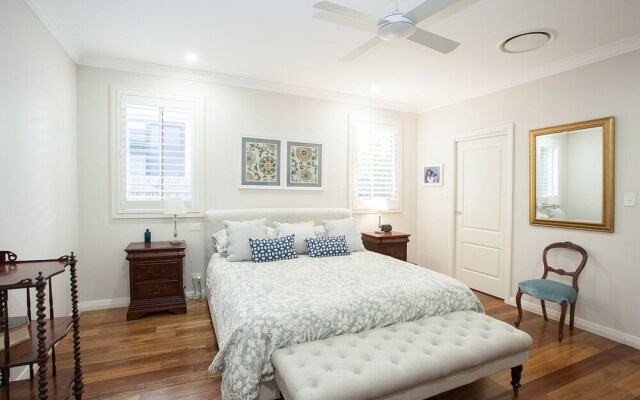 Wilber Wonder (H736)