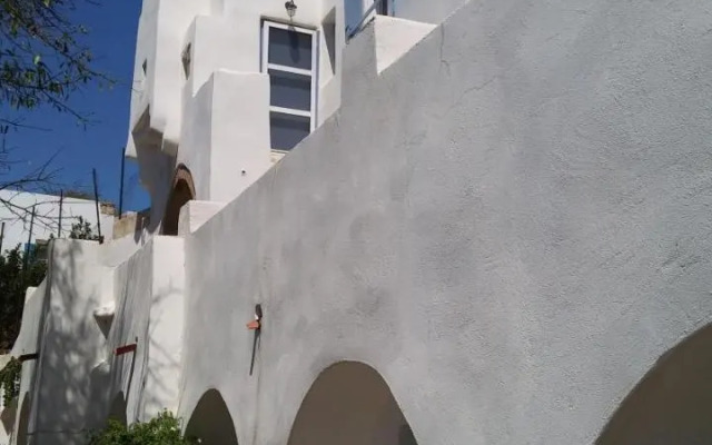 The large bougainvillea house