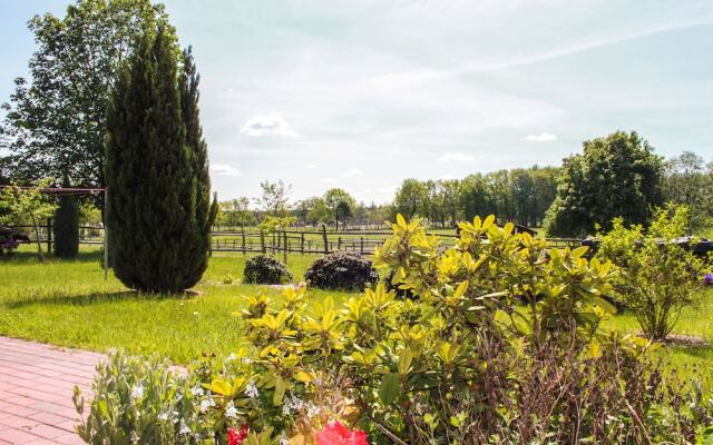 Ferienapartments Lüneburger Heide - Rehlingen