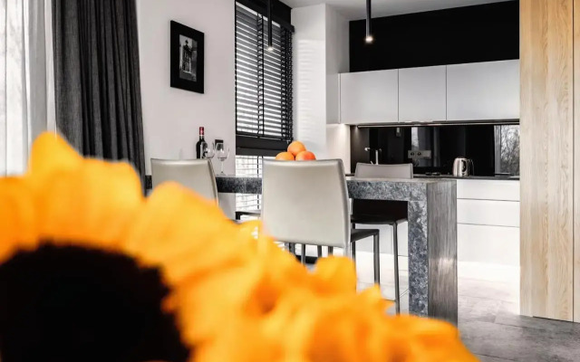 PLATiNIUM RESIDENCE&SPA BASEN-SAUNA CENTRUM