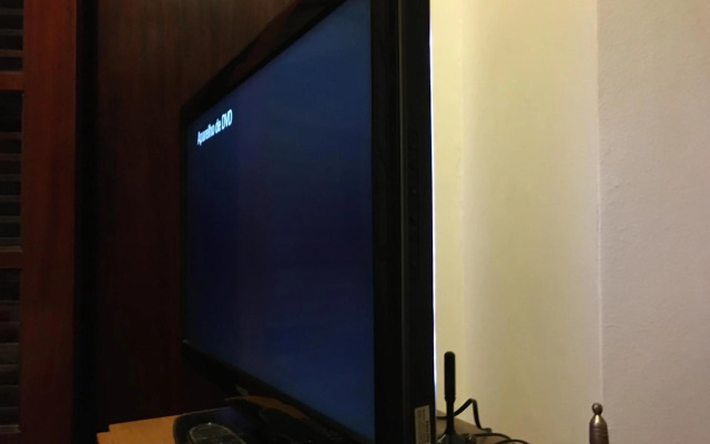 Maestro Ibirapuera Park