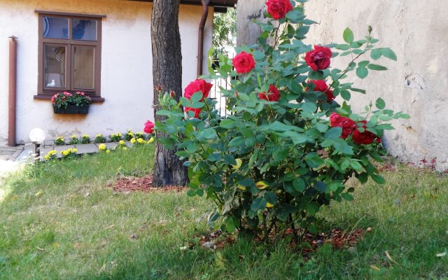Litinterp Guesthouse Klaipeda