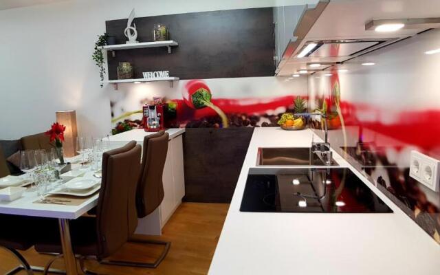 Apartment Giuliano Vienna 2
