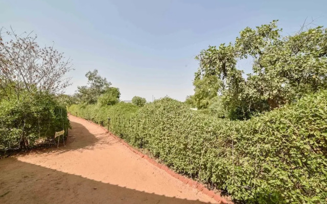 Pushkar Rajwara Resort