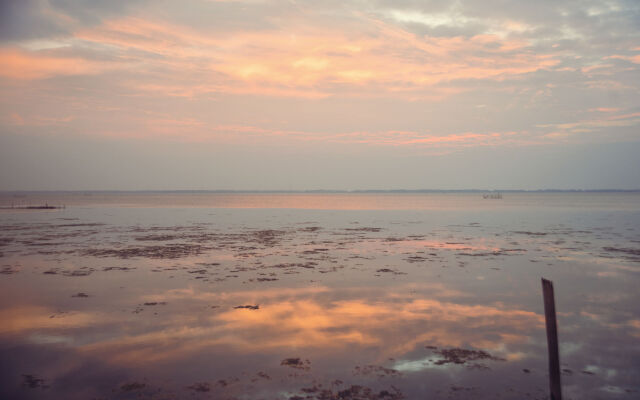 Hush Lagoon30