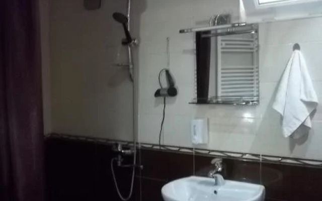 Hotel Visitor
