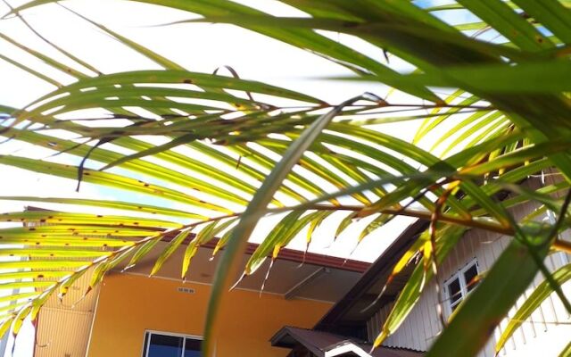 Boquete Town Hostal - Hostel