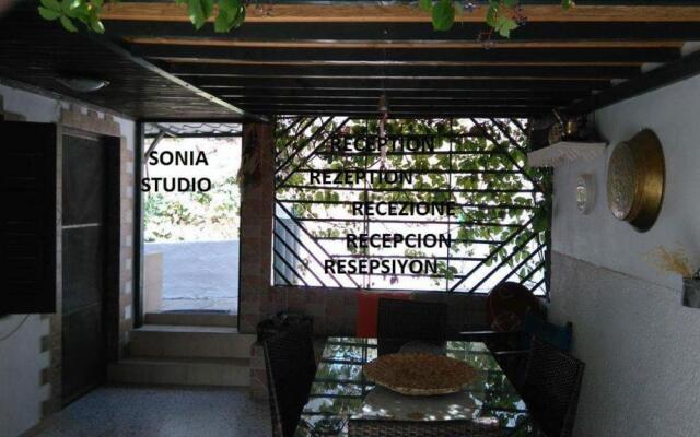 Sonia Studios