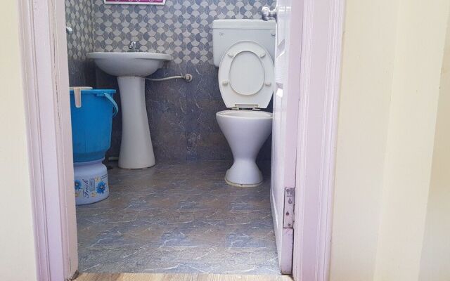 Krishna Tara Comforts